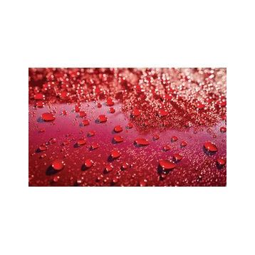 Divortex DVX737 Paint Guardian Wax 473 ml Boya Koruma Cilası