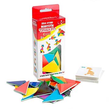 Diytoy Manyetik Zeka Oyunu Tangram