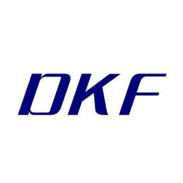 DKF NJ 2204 E 20X47X18 mm Rulman