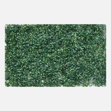 Dlc 40x60 cm Duvar Karosu Yapay Bitki