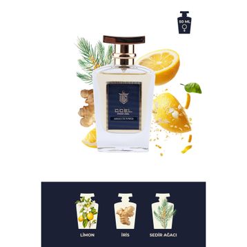 Doel Absolute Power EDP 50 ml Erkek Parfümü