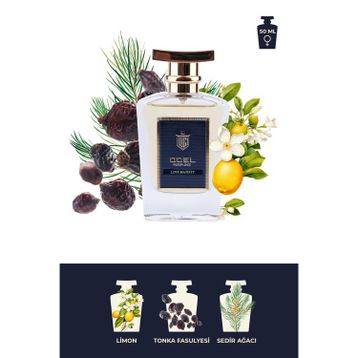 Doel Love Majesty EDP 50 ml Erkek Parfümü