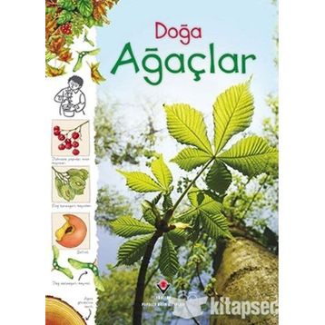 Doğa - Ağaçlar - Kolektif