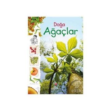 Doğa - Ağaçlar - Kolektif