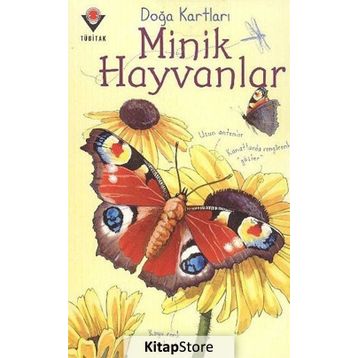Doğa Kartları - Minik Hayvanlar - Emily Bone
