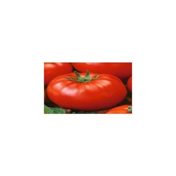 Doğal 20 Adet Beefsteak Domates Tohumu
