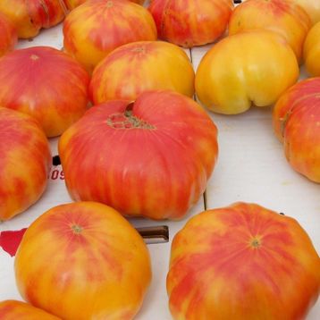 Doğal 20 Adet Old German Domates Tohumu