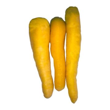 Doğal Solar Yellow Havuç Tohumu