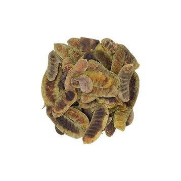 Doğan 1 kg Erkek Sinameki Açlık Otu