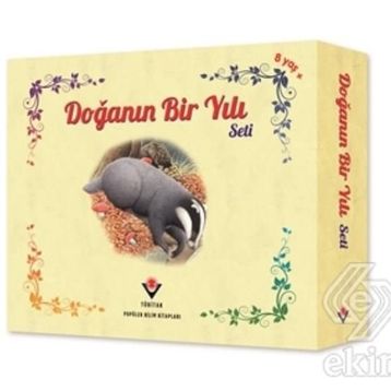 Doğanın Bir Yılı Seti - Ruth Symons