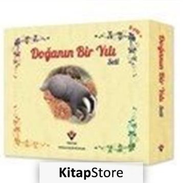 Doğanın Bir Yılı Seti - Ruth Symons