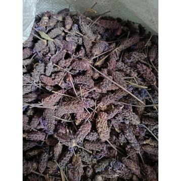 Doğanın Kalbi 200 gr Karabaş Otu