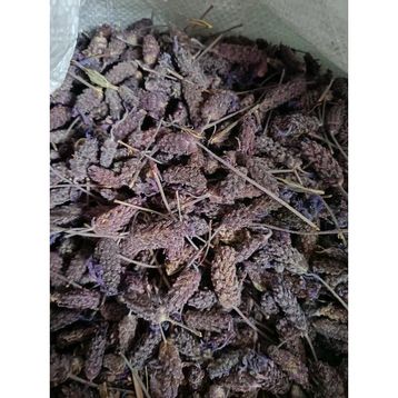 Doğanın Kalbi 200 gr Karabaş Otu