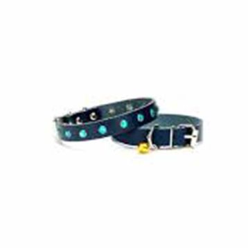 Doggie BKT-10-MV 1.0x23 cm Mavi Medium Nazar Boncuklu Kedi Ve Küçük Irk Köpek Tasması