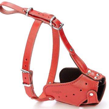 Doggie Eğitim Serisi Medium 1.5x50-55 cm Kırmızı Deriden El Yapımı Uzun Burunlu Köpek Ağızlığı