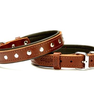 Doggie Rivetli Deri 2.5x50 cm Kahverengi Köpek Boyun Tasması