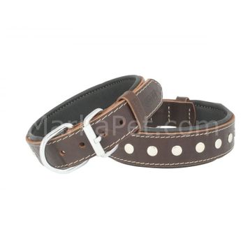 Doggie Rivetli Deri 2.5x50 cm Kahverengi Köpek Boyun Tasması
