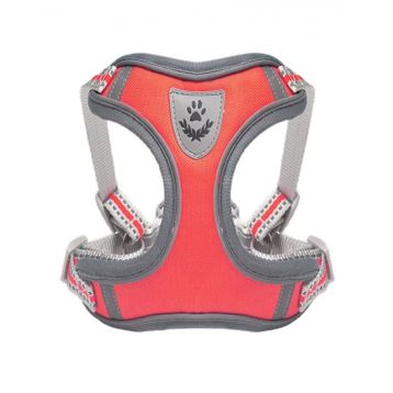 Doggie Small Gezdirmeli Kedi Köpek Armalı Göğüs Tasması