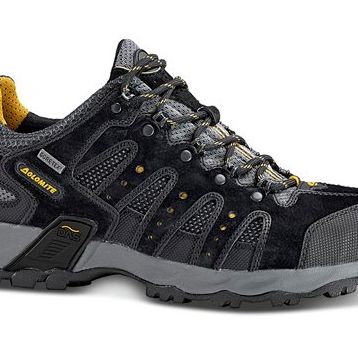 Dolomite Sparrow Low Gtx Erkek Ayakkabı