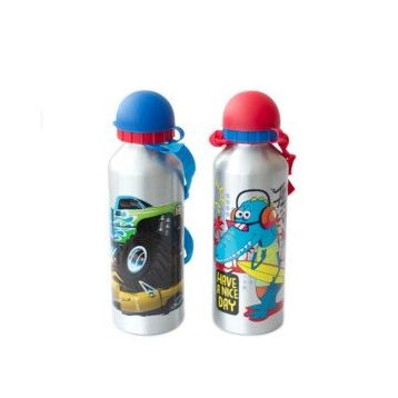 Dolphin 500 ml Alüminyum Matara