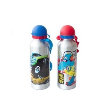 Dolphin 500 ml Alüminyum Matara