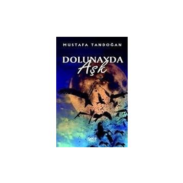 DOLUNAYDA AŞK - NORA ROBERTS