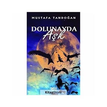 DOLUNAYDA AŞK - NORA ROBERTS