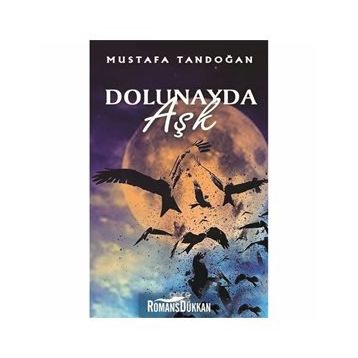 DOLUNAYDA AŞK - NORA ROBERTS