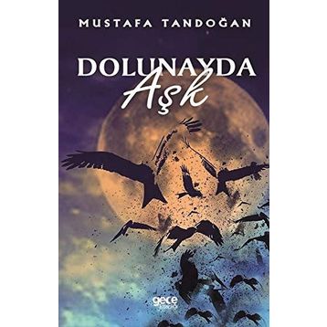 DOLUNAYDA AŞK - NORA ROBERTS
