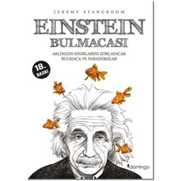Domingo Yayınevi Einstein Bulmacası 1