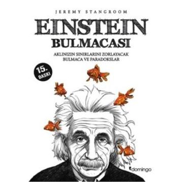Domingo Yayınevi Einstein Bulmacası 1
