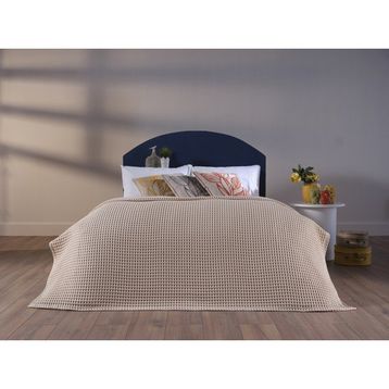 Doqu Home Clara Waffle Krem Tek Kişilik Pike Seti