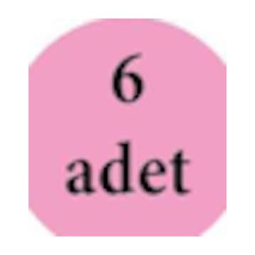 Dore Sahra 51 6 Adet Masaj Kadın Çorap