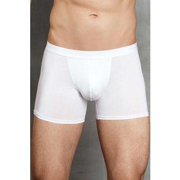 Doreanse 1500 Erkek Boxer