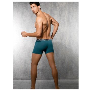 Doreanse 1710 Erkek Boxer