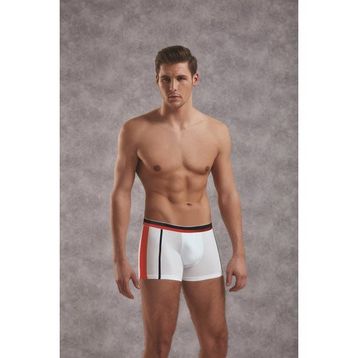 Doreanse 1713 Erkek Boxer