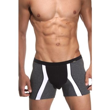 Doreanse 1720 Erkek Boxer
