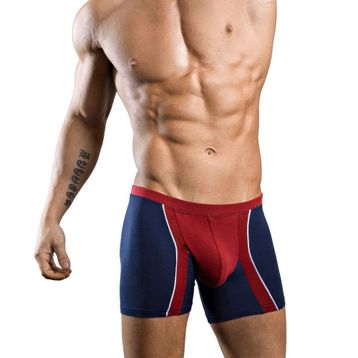 Doreanse 1720 Erkek Boxer