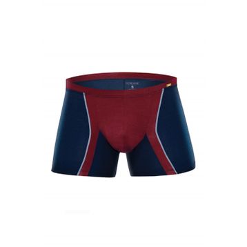 Doreanse 1720 Gri Erkek Boxer