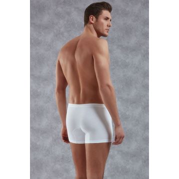 Doreanse 1770 Adonis Boxer