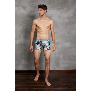 Doreanse 1806 Erkek Boxer
