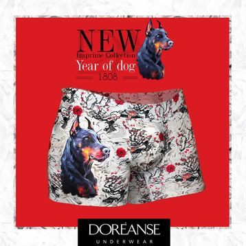 Doreanse 1808 Baskılı Erkek Boxer