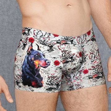 Doreanse 1808 Baskılı Erkek Boxer