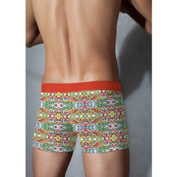 Doreanse 1885 Erkek Boxer