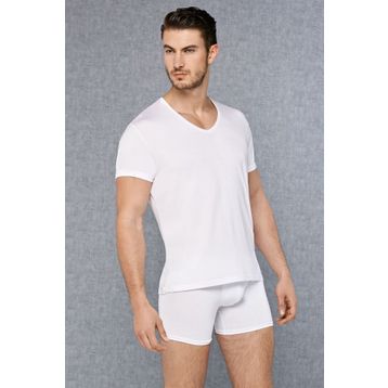 Doreanse 2865 Micromodal V Yaka Kısa Kol Beyaz Erkek T-shirt
