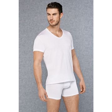 Doreanse 2865 Micromodal V Yaka Kısa Kol Beyaz Erkek T-shirt