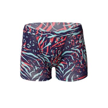 Doreanse Erkek Zebra Baskılı Boxer