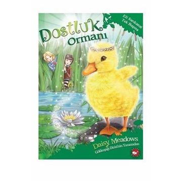 Dostluk Ormanı-3 - Eli Sarıkanat Tek Başına - Daisy Meadows