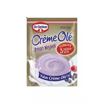 Dr. Oetker 110 gr Orman Meyveli Creme Ole