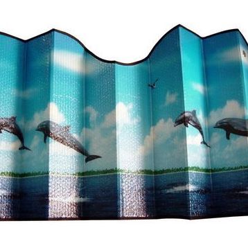 Dreamcar 1103501 Metalize Balonlu 60 x 130 cm Manzaralı Güneşlik